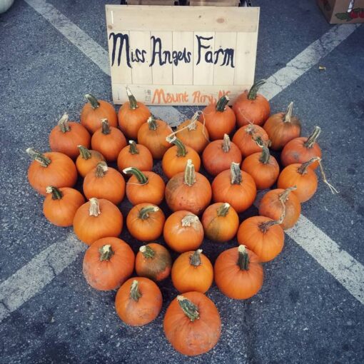 Pumpkins