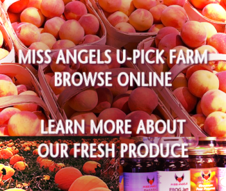 Miss Angels U-Pick Farm