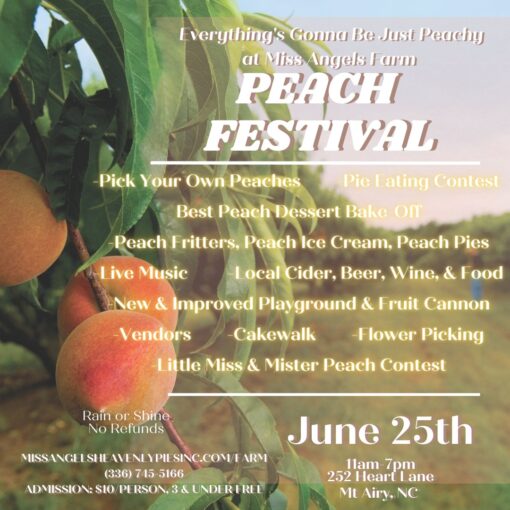 Peach Festival Ticket