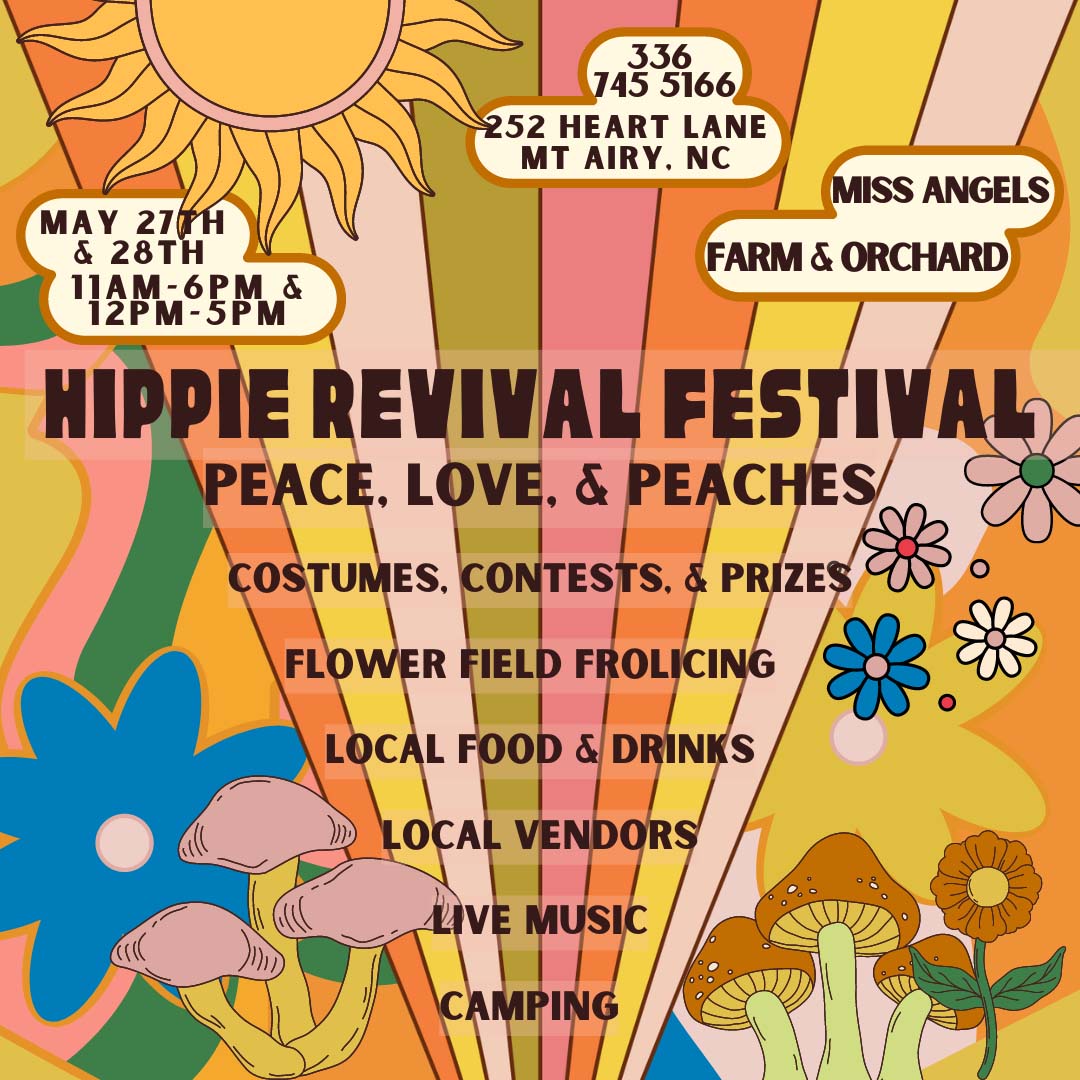 Hippy Festivals 2025 Lexy Sheela